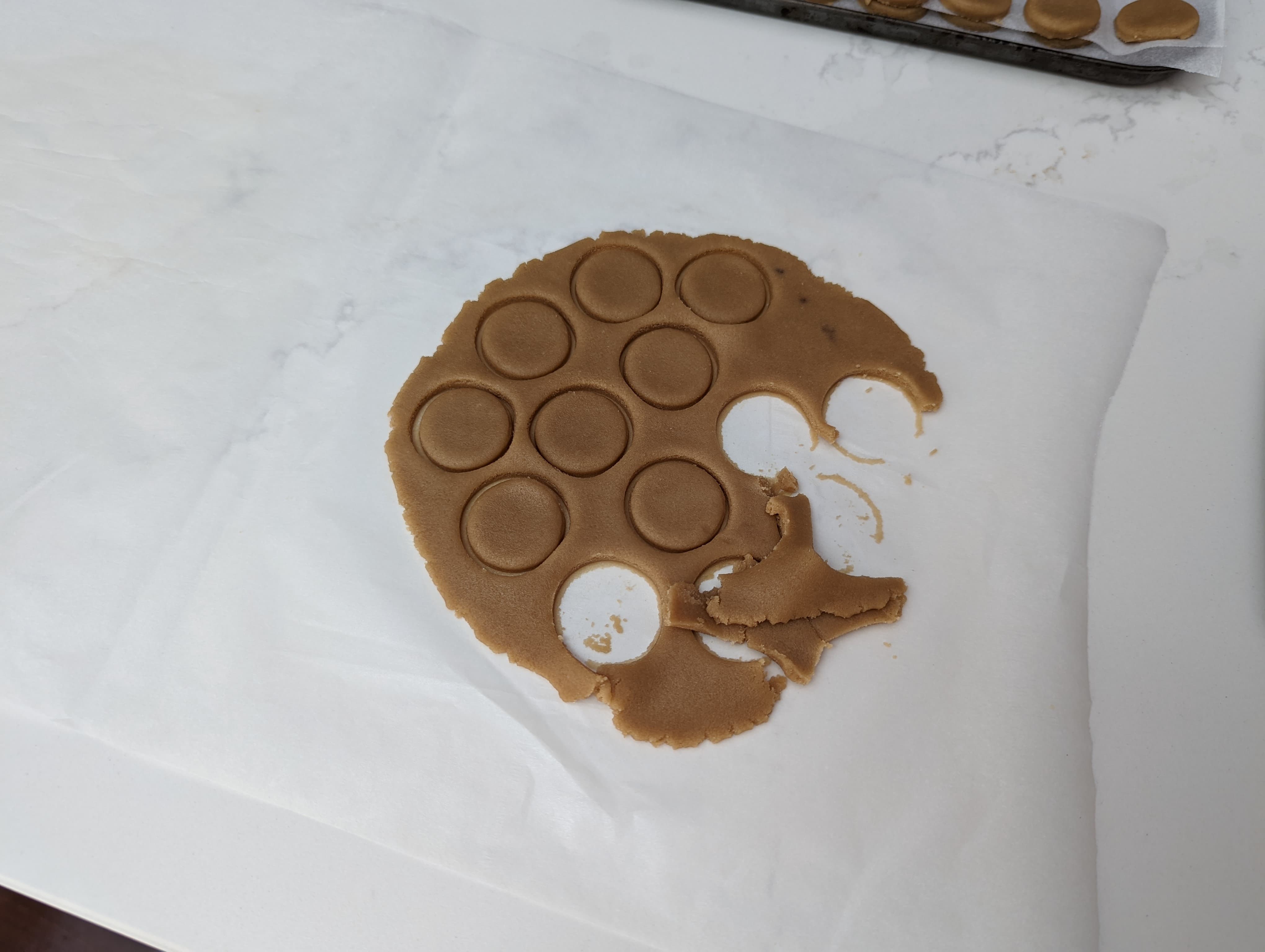 A dark brown dough, rolled out with circles cut into it